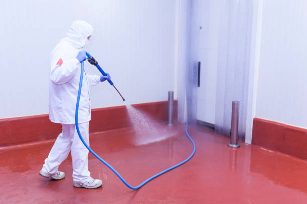 Best Building Exterior Pressure Washing in Youngstown, NY